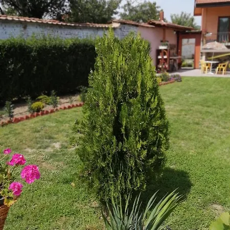 уют Cozy Maison d'hôtes