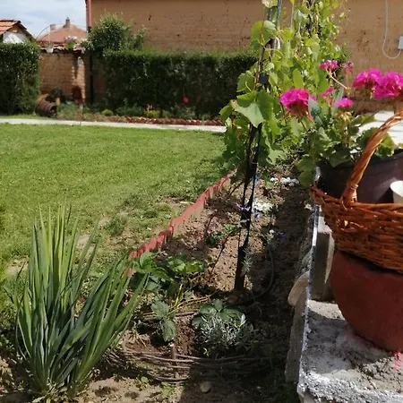 Maison d'hôtes уют Cozy Starosel