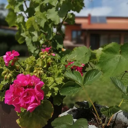 уют Cozy Maison d'hôtes