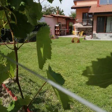 Maison d'hôtes уют Cozy *