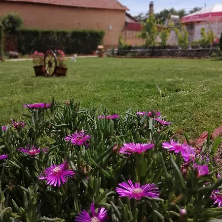 Maison d'hôtes уют Cozy *