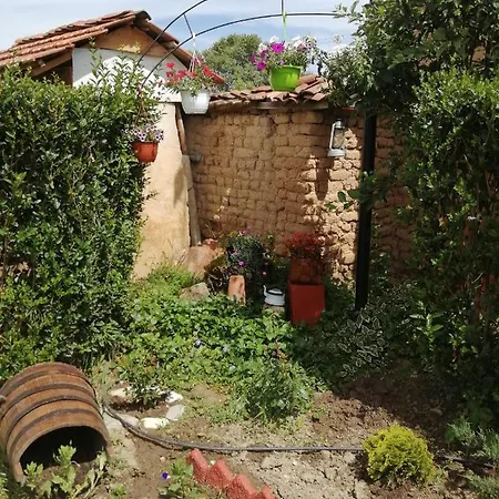 Maison d'hôtes уют Cozy *